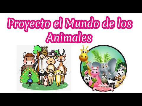 Exposición de animales para preescolares: ¡Una aventura educativa!