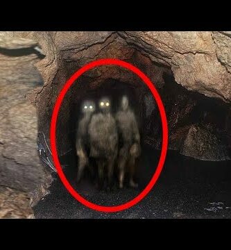 Imágenes de animales de cueva: la vida subterránea en fotos