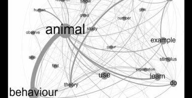 Análisis del comportamiento animal: Todo lo que debes saber