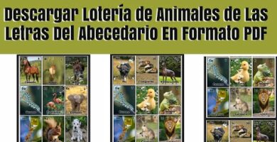 Descarga tarjetas de animales en PDF para imprimir