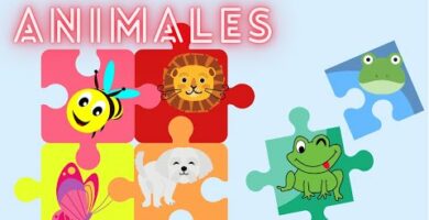Rompecabezas de animales: diversión educativa para niños