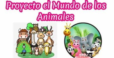Exposición de animales para preescolares: ¡Una aventura educativa!